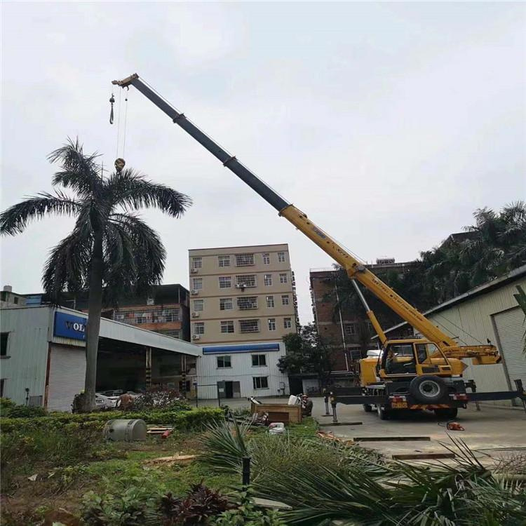 鼎湖树木移栽装卸